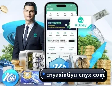 亚新 APP 深度功能